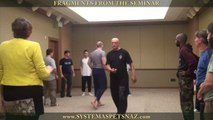 Systema Spetsnaz - Russian Martial Arts