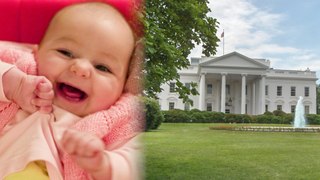 BABY Breaches White House Fence, Sends Lawn into Lockdown