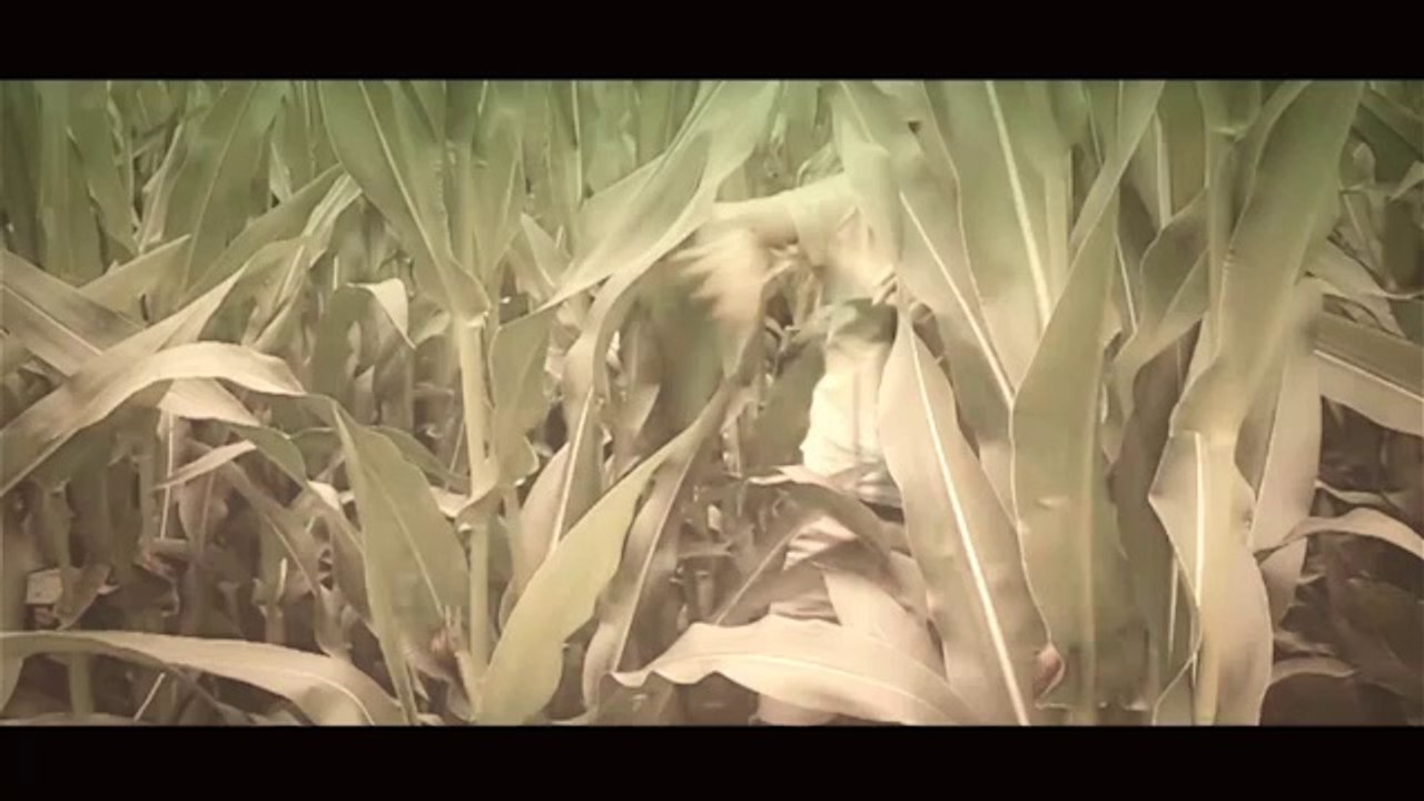 Hey Love - Robbie Miraux feat.Rash Official Video