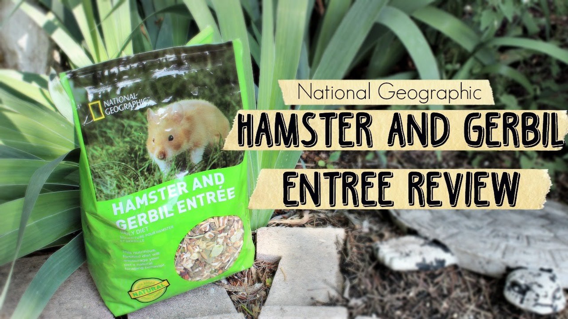 National geographic sale hamster food