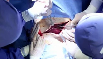 chromosomal 【강북오피걸】 즐겨박기 ＜합정오피걸＞