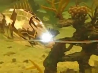 Des poissons robots dans un aquarium en Corée