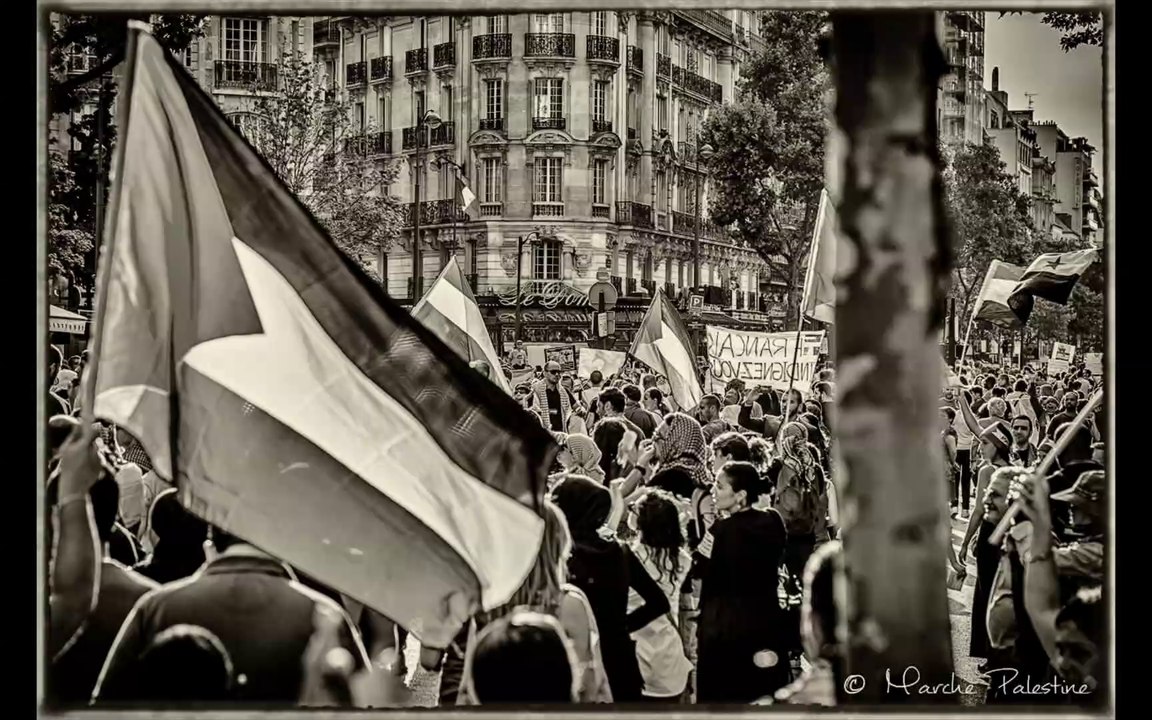 Marche Palestine-HD (1080p)_2