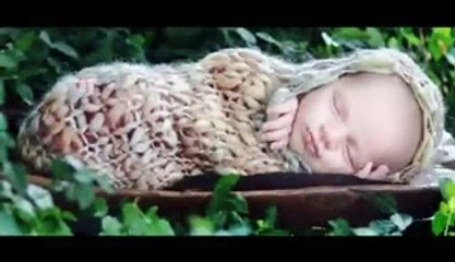 Cute Sleeping Babies