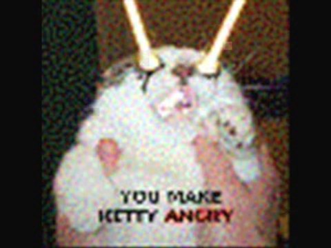 very cute animals photos, animals moments - Video Dailymotion