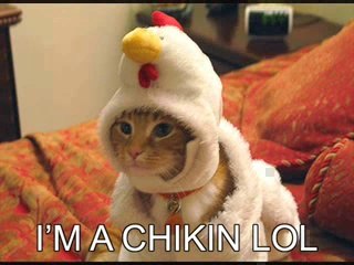 my another collection of animals, pets photos - Video Dailymotion