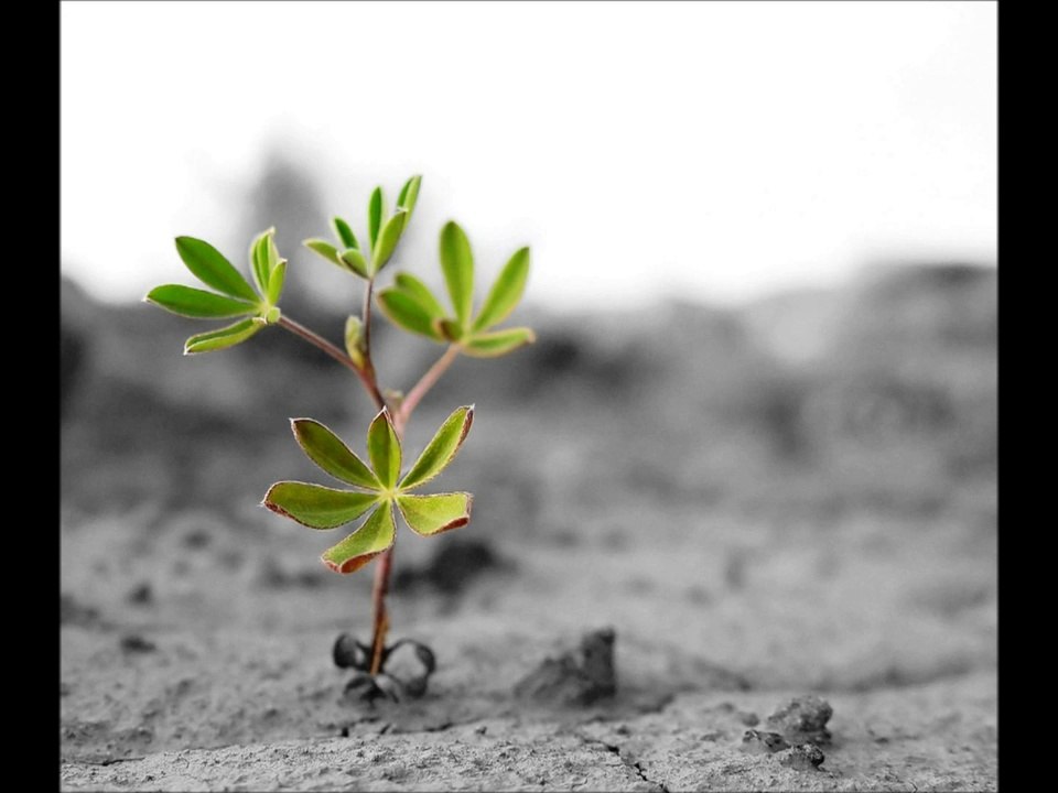 Revivre - Daniel Bélanger