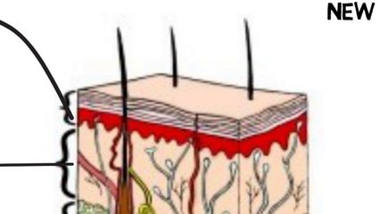 Microdermabrasion Through Animation: What You Need To Know About This Anti Aging Process