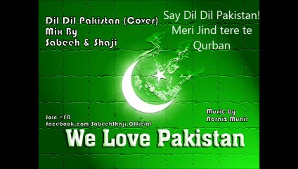 Dil Dil Pakistan Cover - Azadi Song 2014 by Sabeeh & Shaji