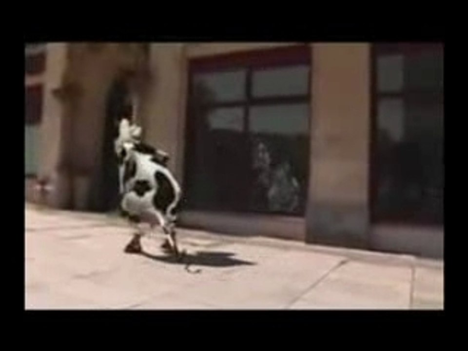 La vache qui chante