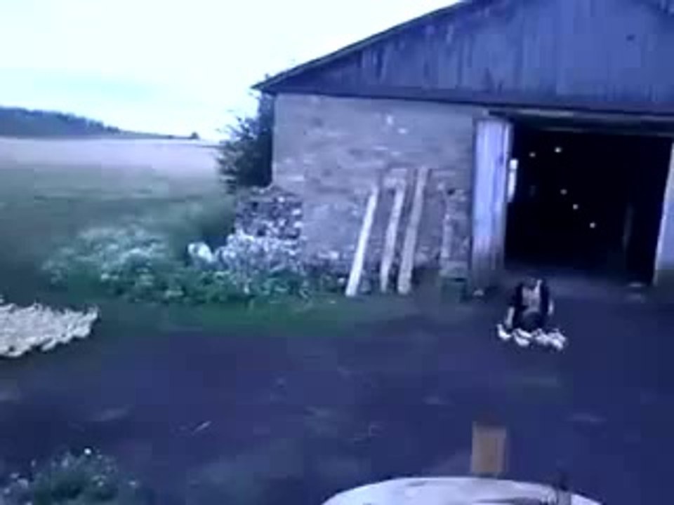 Russian Handler of the Top-Level