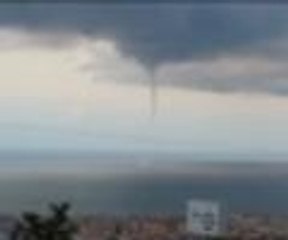 Bu sefer de Samsun'da görüldü