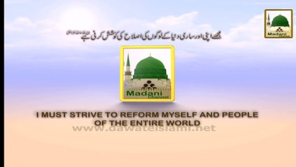 Promo - Mobile Radio Service