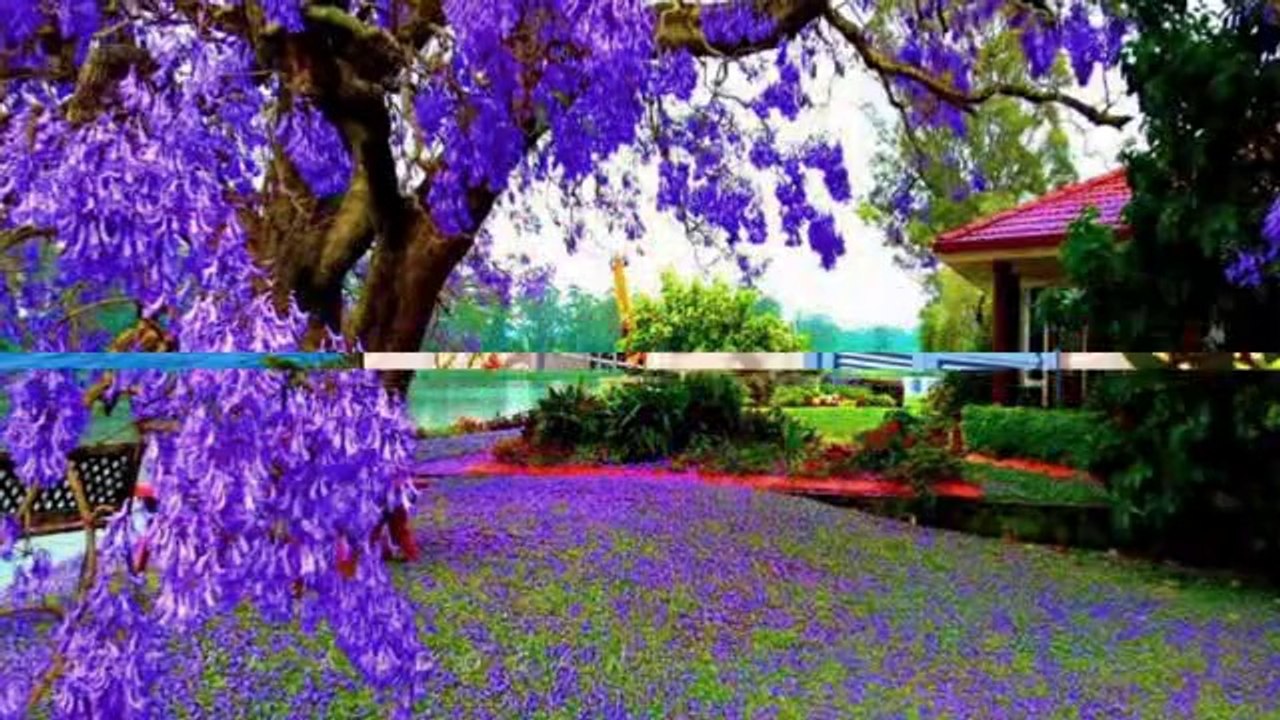 Paul Mauriat - L'avventura