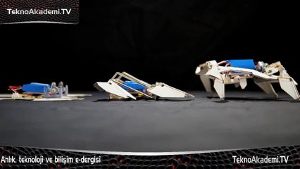 Dünyanın, kendi kendini kurabilen ilk robotu