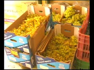 Αγρότες της Στερεάς για ρωσικό εμπάργκο