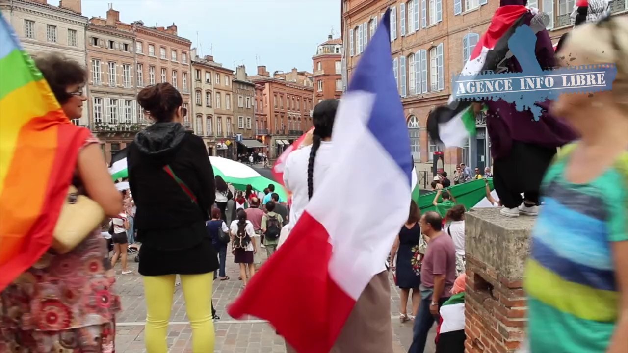 Manifestation pro-palestinienne à Toulouse (Vendredi 8 août 2014)
