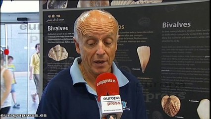 Qué hacer si te pica un pez araña