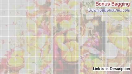 Bonus Bagging PDF Free - Get It Now [2014]