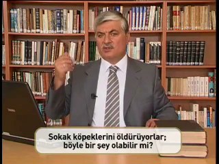 009- Sokak köpekleri öldürülebilir mi