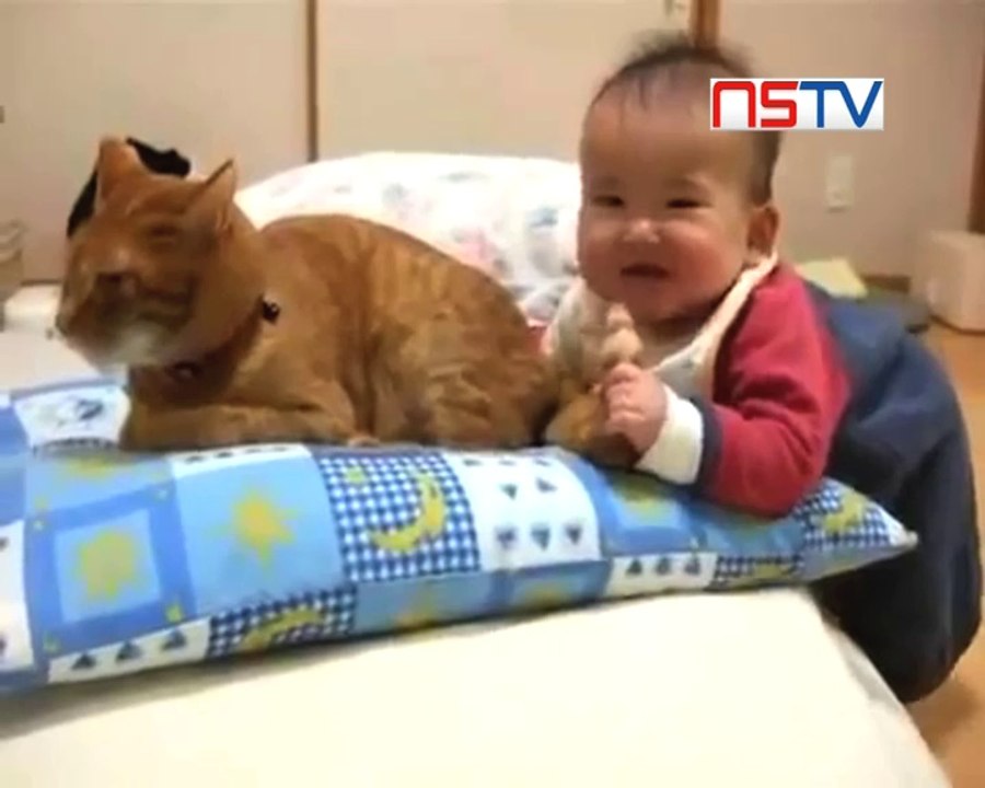 Baby playing with Cat's tail