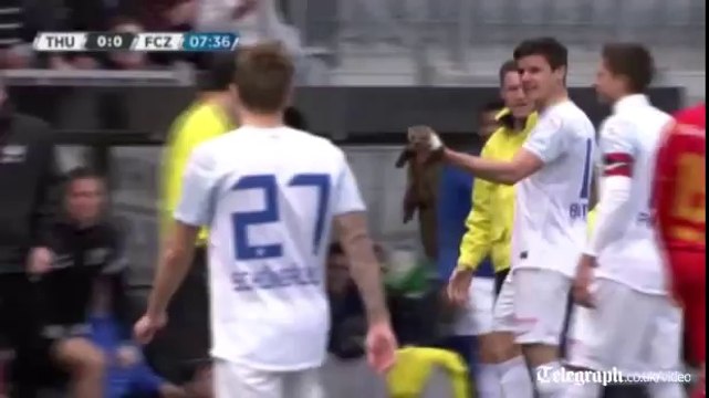 Watch Huddersfield vs Bournemouth live streaming soccer English League Championship Online