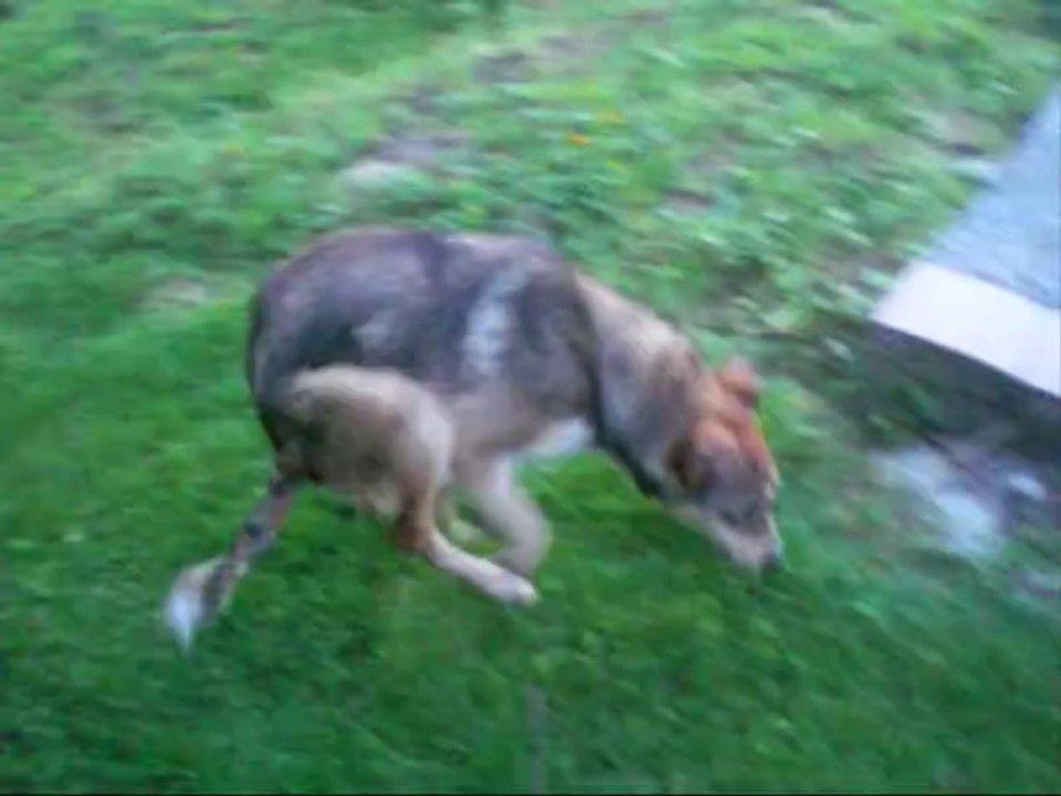MILA EN FRANCE