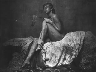 A Modest Proposal - Shed Bust Not Wasted