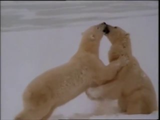 PREDE e PREDATORI. Documentario completo.