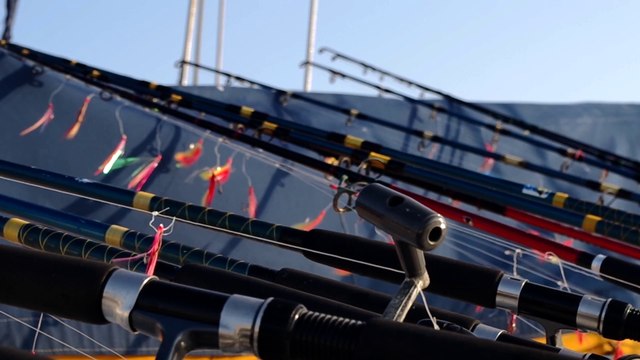 Sortie & Pêche en Mer en Vendée // O'Abandonado - Noirmoutier