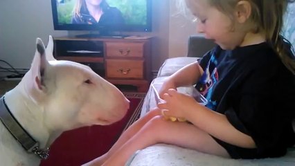 cette fille nourrit son chien d’une façon très spéciale ! a voir