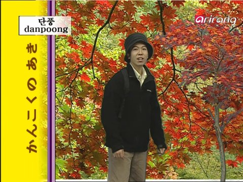 Traveler's Korean(Japanese 日本語) S1Ep01 おはようございます。 안녕하세요?[an/nyeong/ha/se/yo]