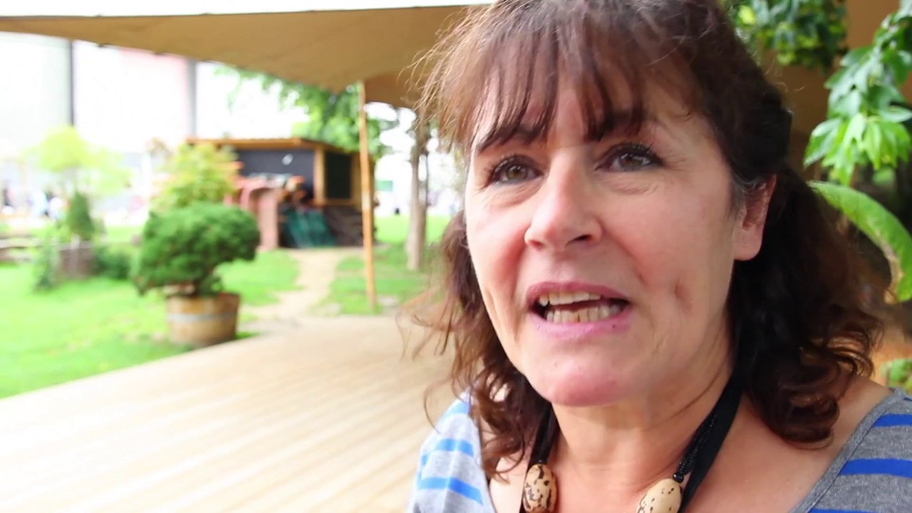 L'été à la Villette Scènes d'été / Cinéma en plein air / Art Contemporain #lavillette