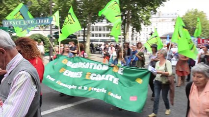 Manifestation pro-palestinienne à Paris (samedi 9 août 2014)