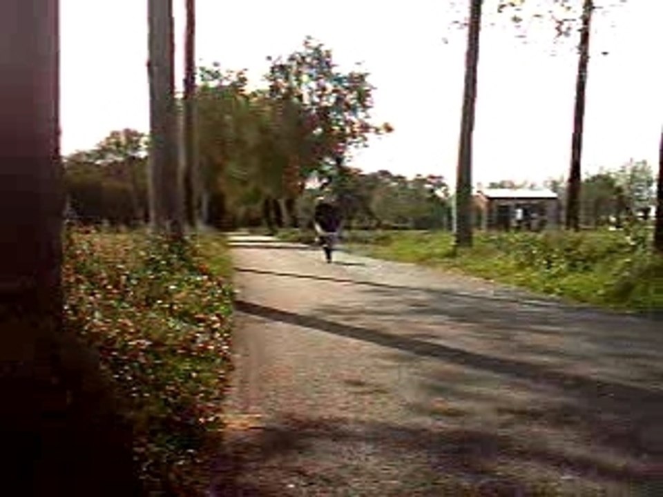 wheeling 103