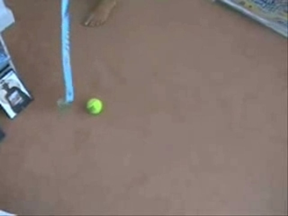 hockey sur moquette (2)