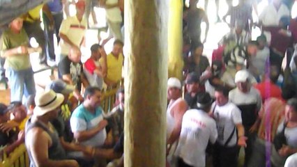 Combats de coqs à La Palma / Cuba