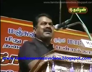 Seeman BGM Part 1 20140810