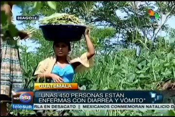 Guatemala: desalojados del Valle Polochic carecen de servicios básicos
