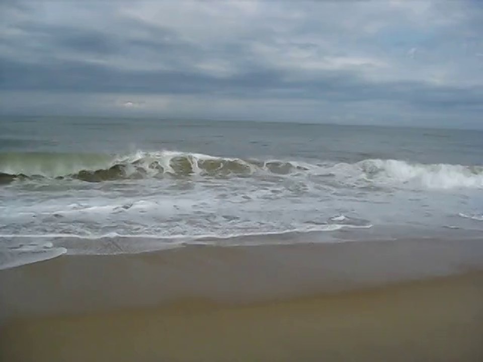 Tarnos plage sauvage