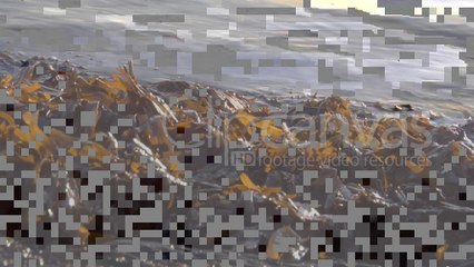 Insights On Fast Advice In generic