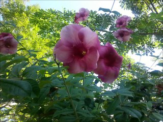 road trip thaïlande