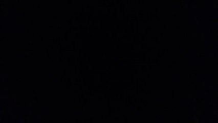 I Love You Osama Bin Laden - Martina McBride (2014) Original Version