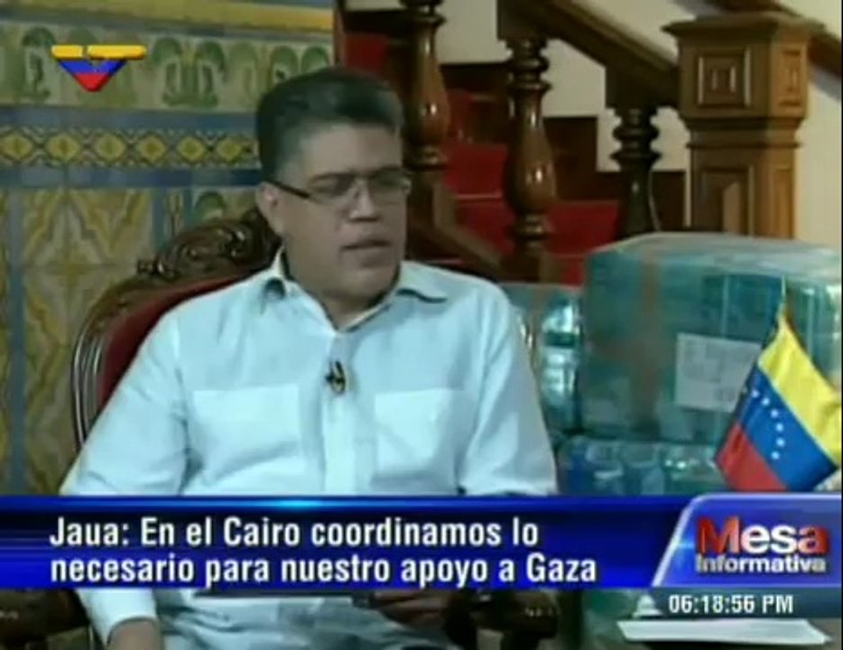 (Vídeo) Canciller Jaua recolectamos 27 toneladas de alimentos para el pueblo palestino