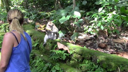 2014 05 Bali Monkey Forest MVI_0046