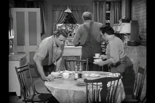 The Real Mccoys - s01e19 - Little Luke's Education