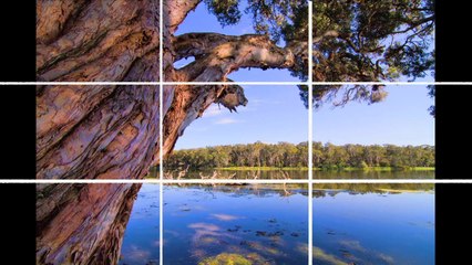 Digital Photography Success