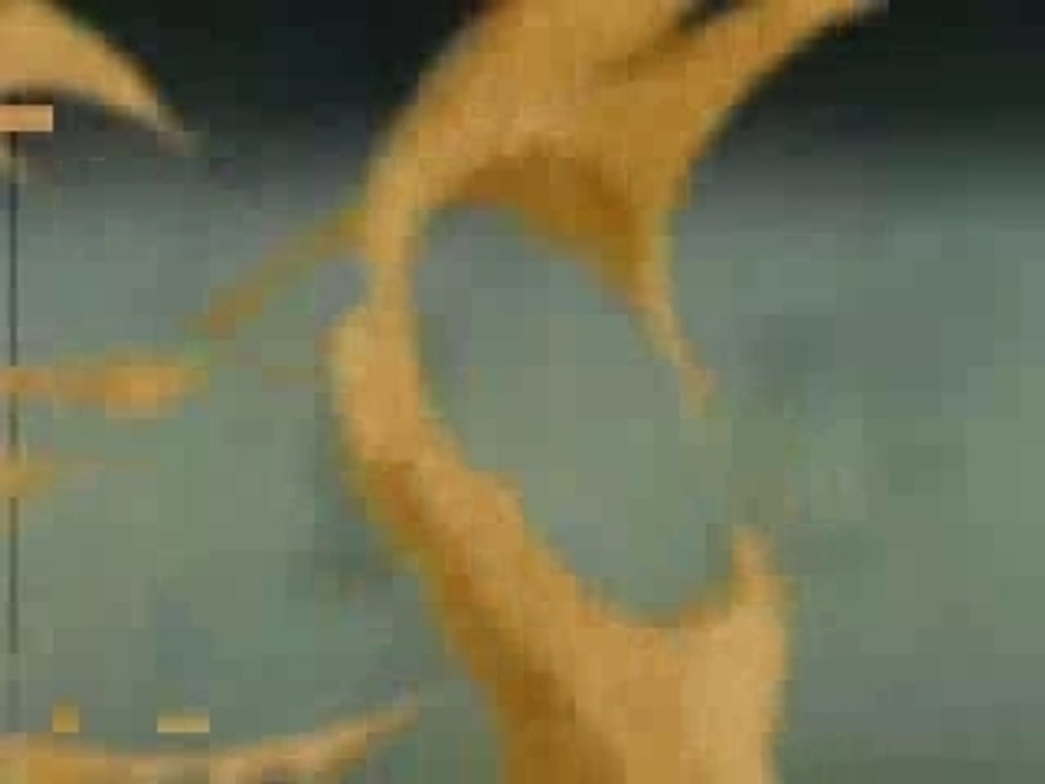 AMV - Naruto - Rock Lee