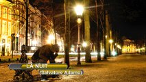 La nuit (Salvatore Adamo)- Bich Thuy cover Aug 05 2014