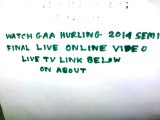 Watch Live Limerick Vs Kilkenny 2014 Hurling Semi Final Streaming GAA On Tv,